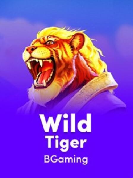Customer Support Excellence at BlockBet Casino: What to Expect
